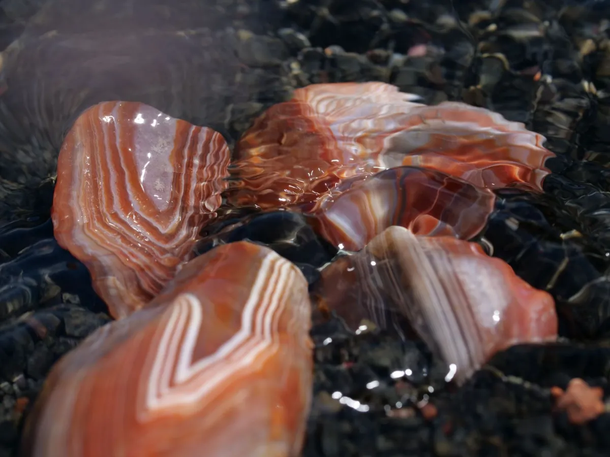 Banded agate stones under clear water, showing the glossy wet look