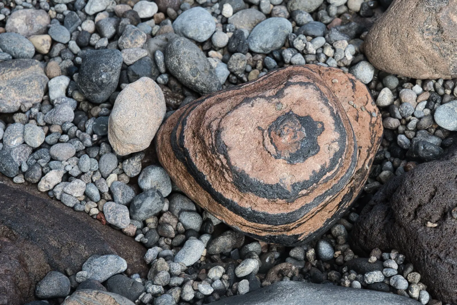 Banded stone resting among small rounded pebbles