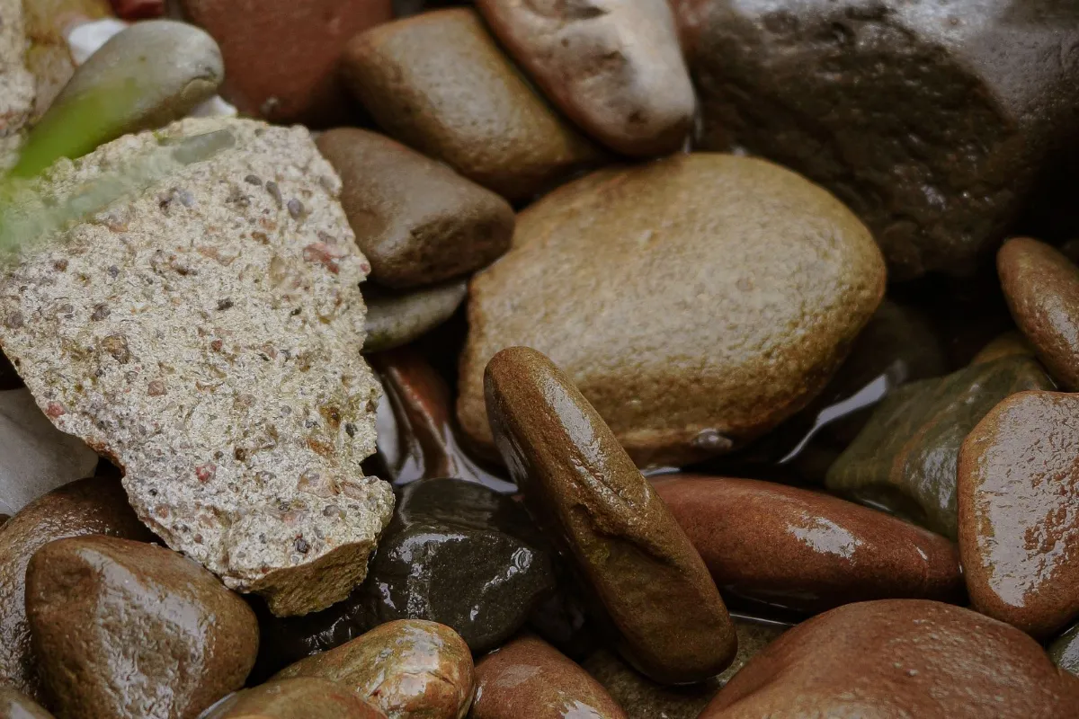 Wet, smooth stones in earthy tones